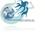 Dakini International Logistics Inc.