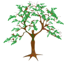 Imperial ship attendance SA