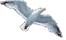 Company Logo Company Logo