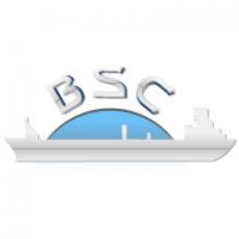 Black Sea Cargo, LLC