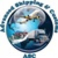 ADVANCED SHIPPING & CUSTOMS (ASC)