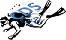 Company LogoCameroon Diving Services Ltd