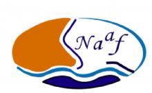 NAAF MARINE SERVICES company logo